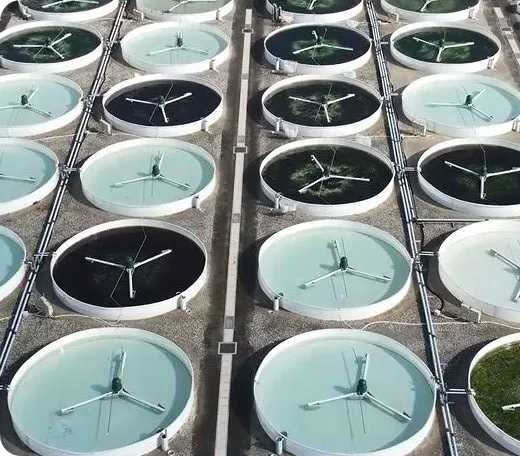 海藻産業活性化への取り組み