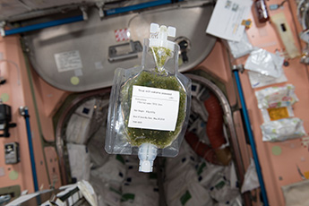 March 12, 2018, at the ISS (photo by Astronaut Norishige Kanai) (C) Japan Aerospace Exploration Agency (JAXA)