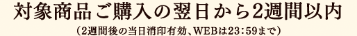 対象商品ご購入の翌日から2週間以内（2週間後の当日消印有効、WEBは23：59まで）