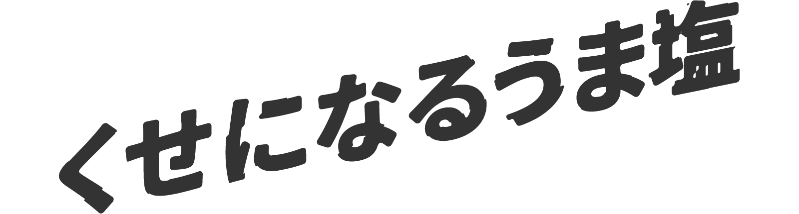 くせになるうま塩